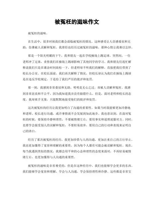 被冤枉的滋味作文