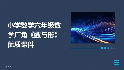 2024年度小学数学六年级数学广角《数与形》优质课件