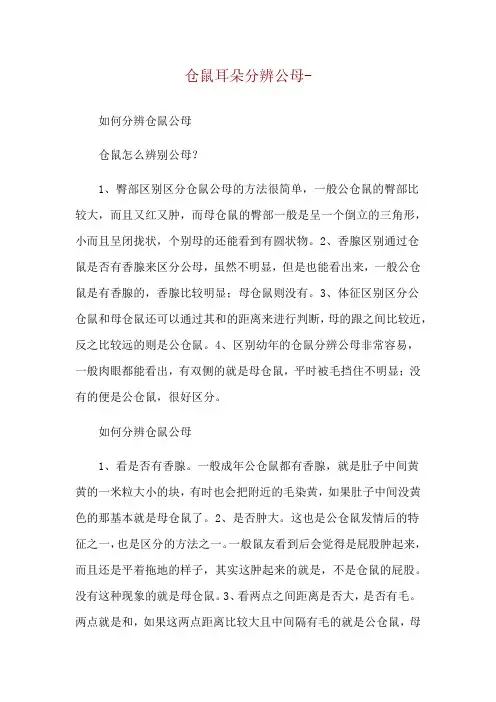仓鼠耳朵分辨公母--如何分辨仓鼠公母