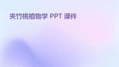 夹竹桃植物学ppt课件