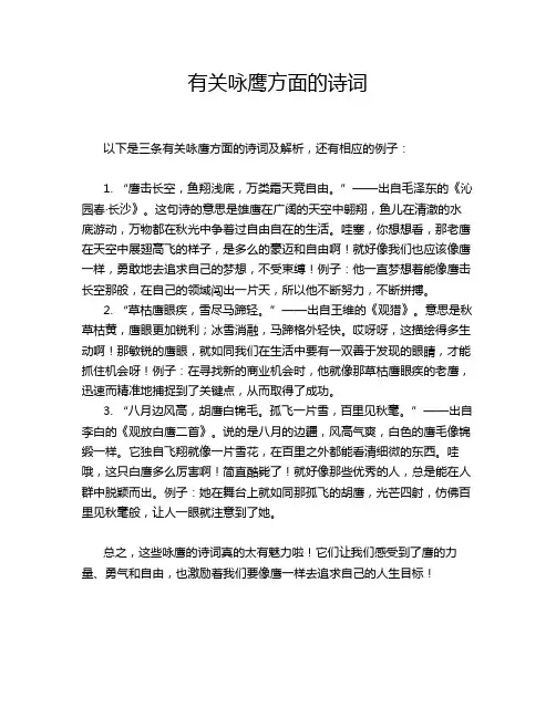 有关咏鹰方面的诗词