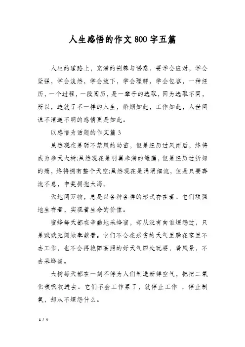 人生感悟的作文800字五篇