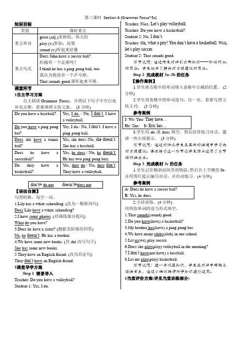 第三课时 Section A (Grammar Focus3c)