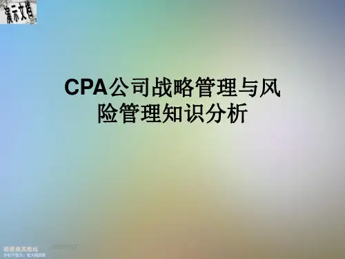 CPA公司战略管理与风险管理知识分析