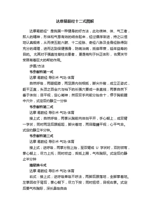 达摩易筋经十二式图解
