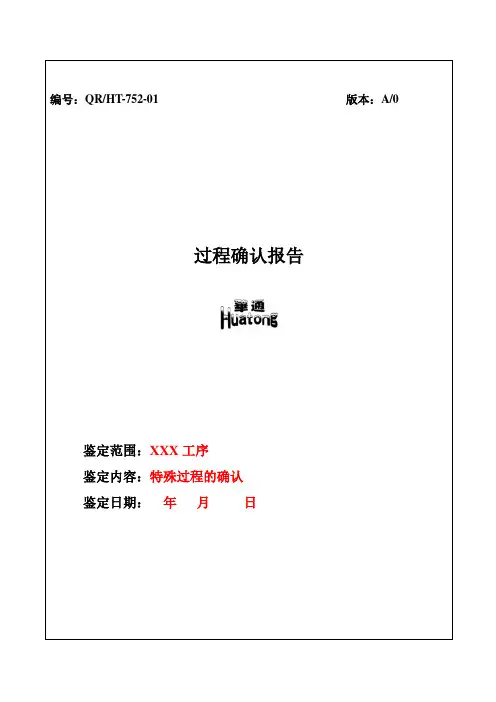 过程确认报告