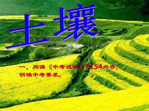 九年级科学土壤总复习(教学课件2019)