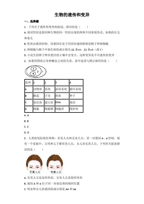 中考生物基础强化训练：生物的遗传和变异（word版含解析）