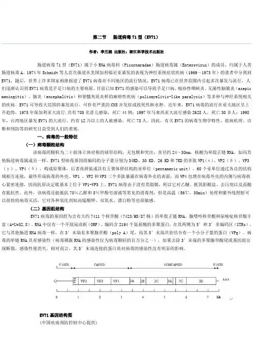 肠道病毒71型简介简述
