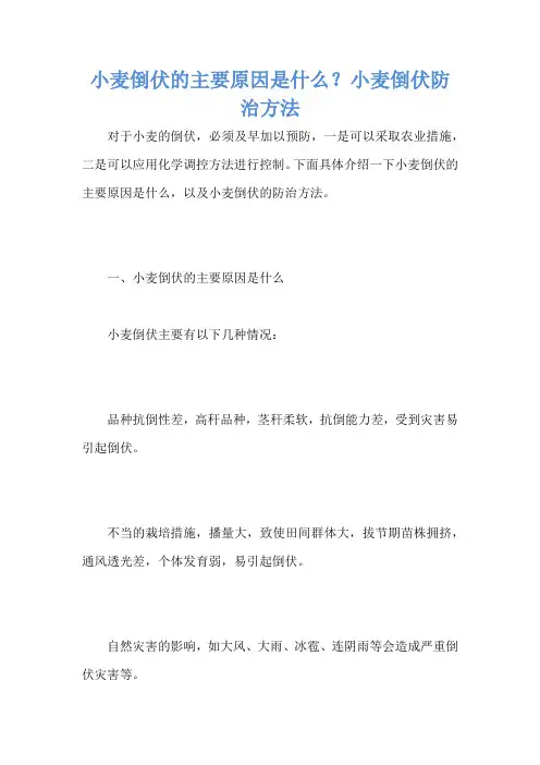 小麦倒伏的主要原因是什么？小麦倒伏防治方法