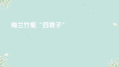 梅兰竹菊“四君子”  课件 -2024-—2025学年浙教版初中美术七年级上册