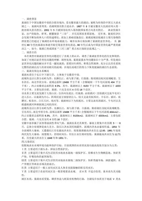 巢湖水资源考察报告
