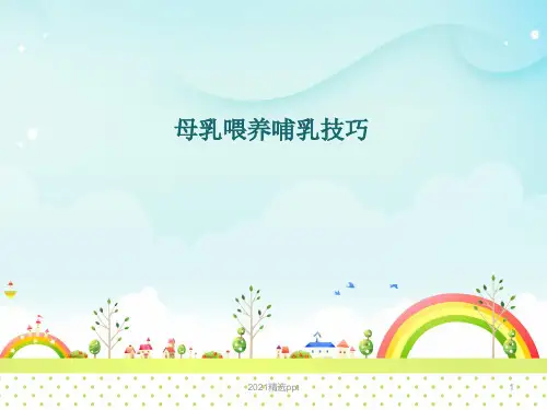 母乳喂养技巧ppt课件