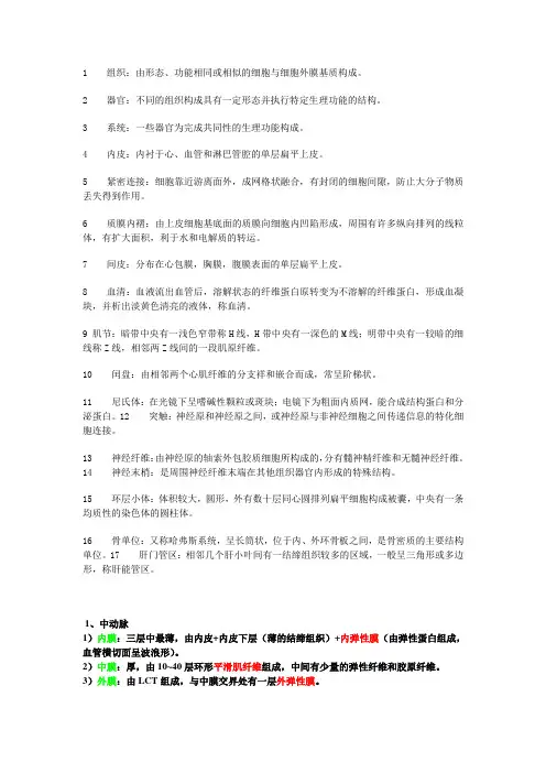 解剖名词解释