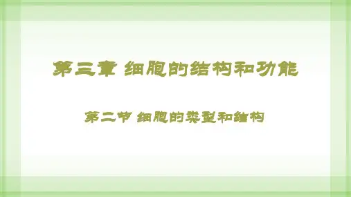 细胞的结构和功能
