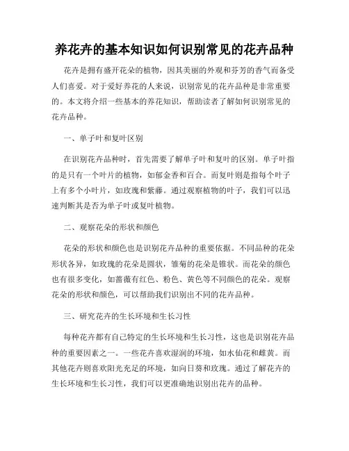 养花卉的基本知识如何识别常见的花卉品种