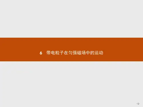 人教版高中物理选修3-1习题课件：3.6 带电粒子在匀强磁场中的运动 