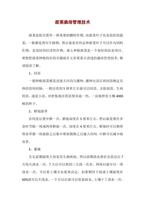 甜菜栽培管理技术