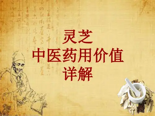 中药学_灵芝_药材详解课件模板