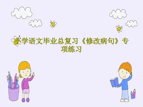 小学语文毕业总复习《修改病句》专项练习PPT共28页