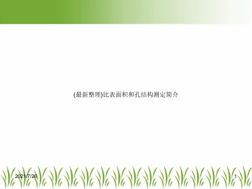 (最新整理)比表面积和孔结构测定简介