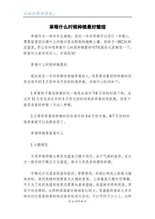 草莓什么时候种植最好整理