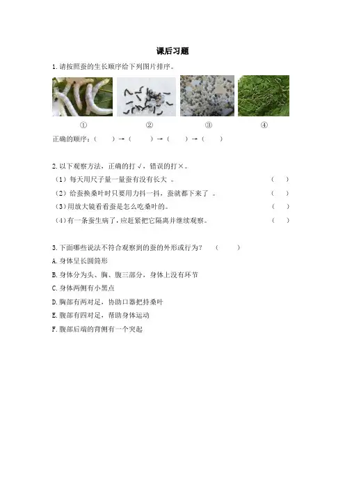 教科版小学科学三年级下册《蚕长大了》课后习题附答案