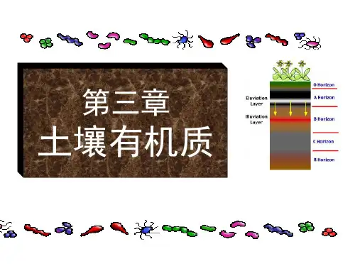 土壤学第三章土壤有机质