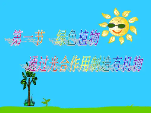 绿色植物通过光合作用制造有机物(含下一节)