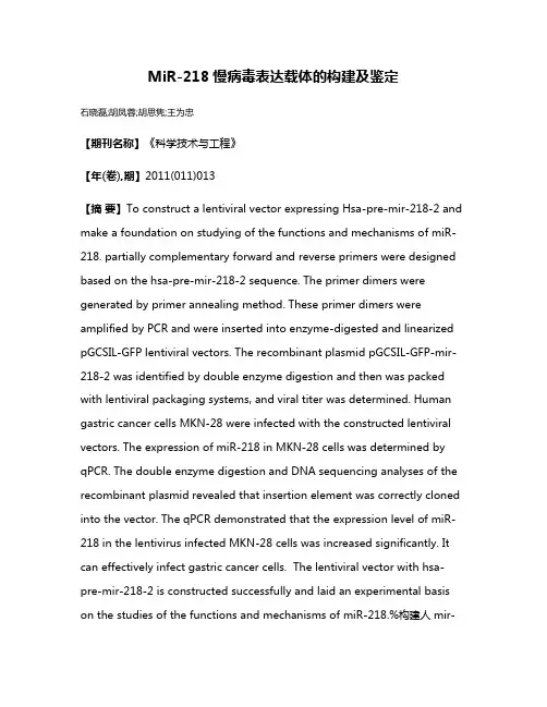MiR-218慢病毒表达载体的构建及鉴定