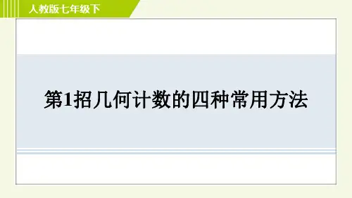 人教版七年级数学下册期末专项 几何计数的四种常用方法