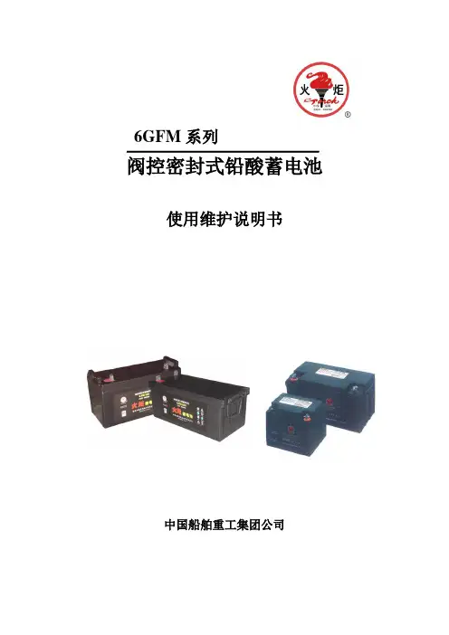 6-GFM阀控式铅酸蓄电池说明书
