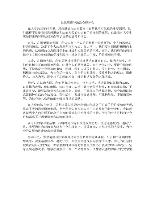 思想道德与法治心得体会800字大学生