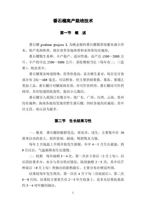 番石榴高产栽培技术