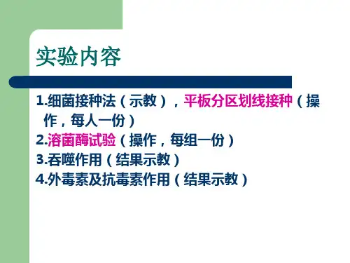 医学微生物学：本科实验2