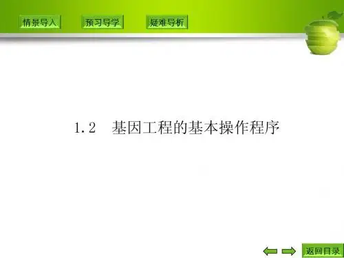1.2 基因工程的基本操作程序