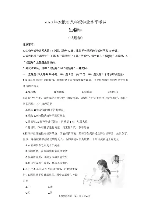 2020年安徽省八年级学业水平考试生物学试题(PDF版)