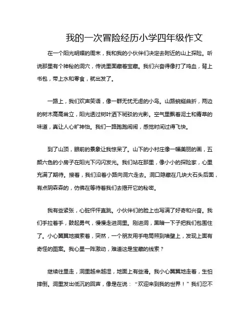 我的一次冒险经历小学四年级作文