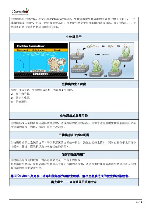 生物膜是什么 如何消除生物膜