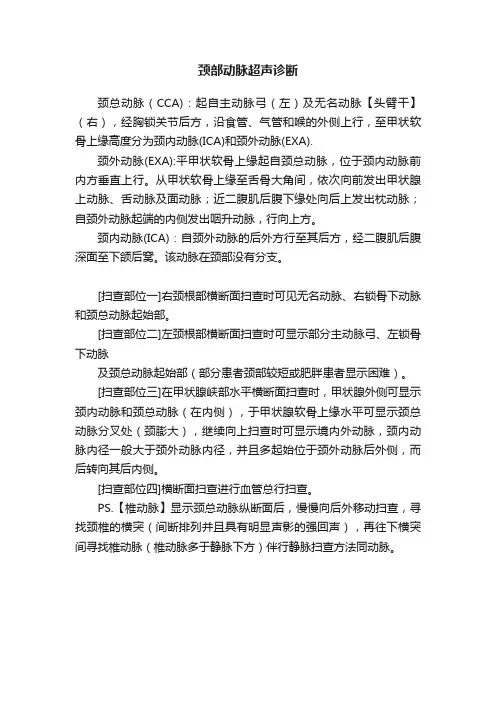 颈部动脉超声诊断