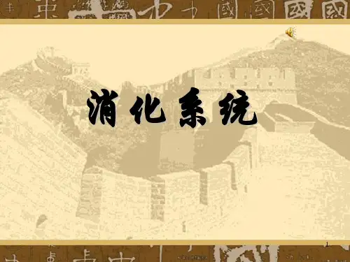 消化系统PPT课件