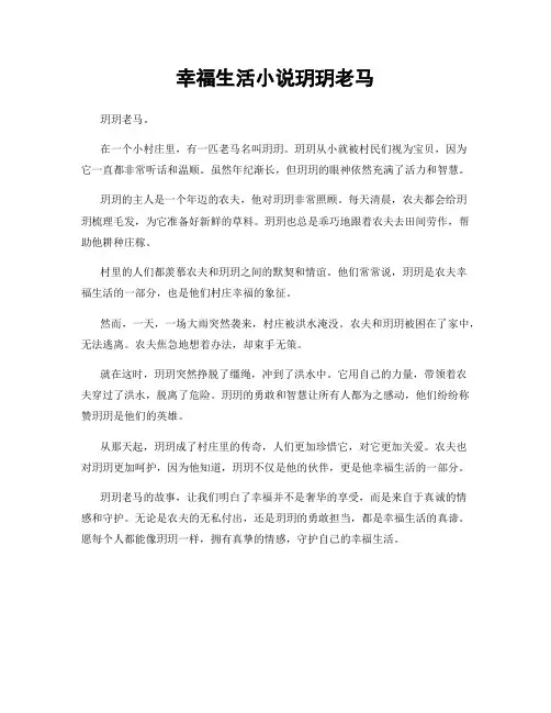 幸福生活小说玥玥老马