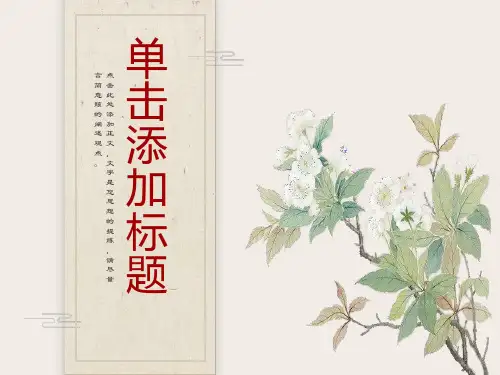 青山不老ppt课件