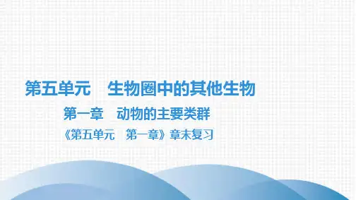 最新人教版八年级上册生物第五单元生物圈中的其他生物第一章动物的主要类群第一章章末复习