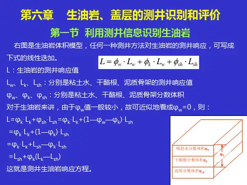 测井烃源岩评价
