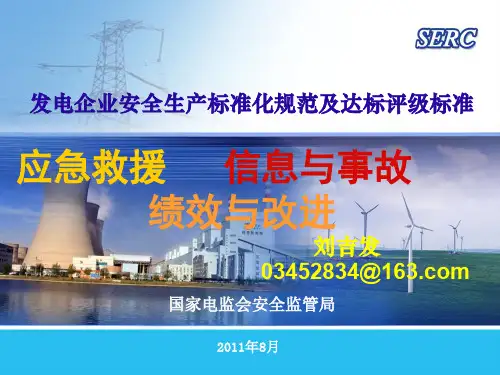 发电企业安全生产标准化规范及达标评级标准