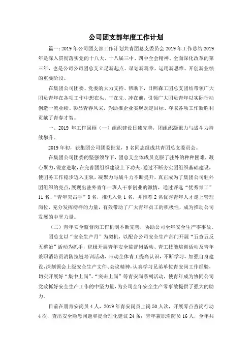 工作计划-公司团支部年度工作计划2 精品