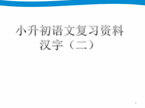 小升初语文专项复习  汉字ppt课件