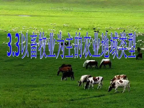 智慧畜牧PPT课件(1)