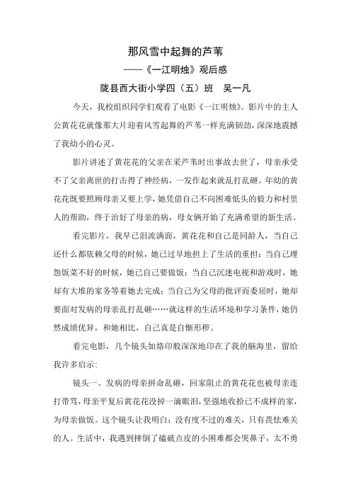 那风雪中起舞的芦苇